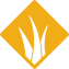 grassland